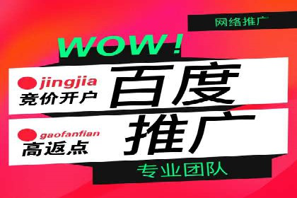 百度推广代运营实战案例解析